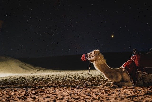 4 Budget Souvenirs from Dubai - Chictravelaroundtheworld